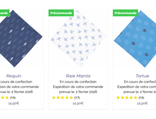 Rupture de stock temporaire